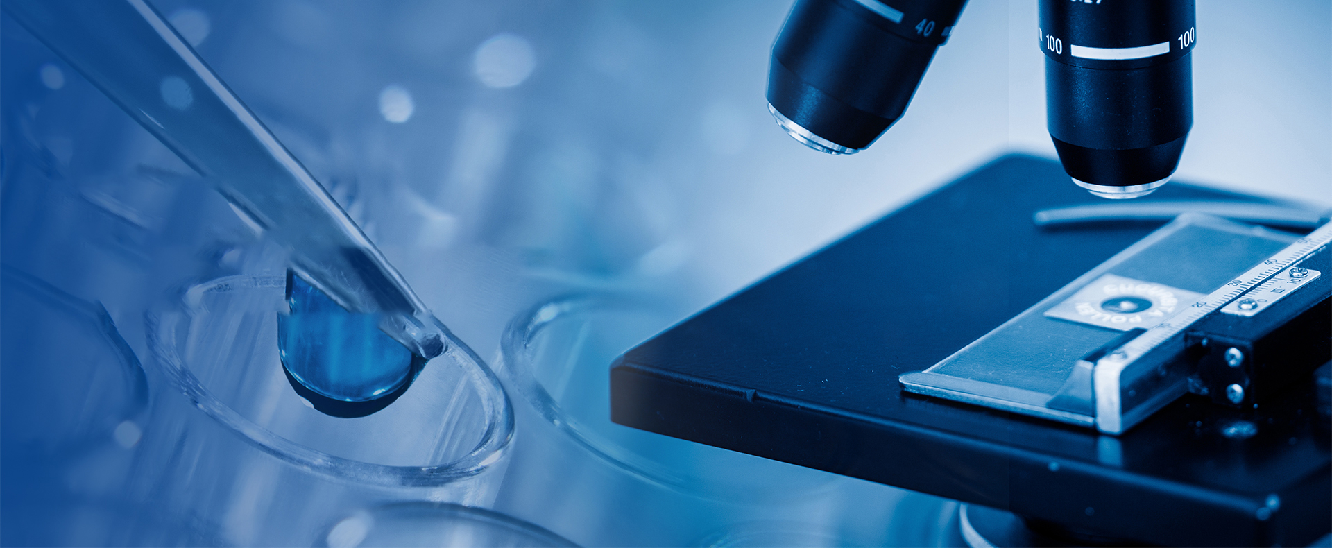 面向先進(jìn)碳材料檢測的公共服務(wù)平臺